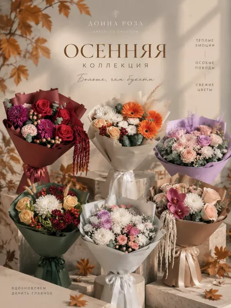 Осенняя коллекция