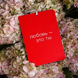 ОТКРЫТКА СТАНДАРТ